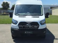 Usata Ford Transit Trend 131 CV (96 kW) 2023 Bianco Furgone