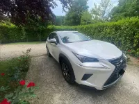 Usata Lexus NX300h Business Edition 155 CV (114 kW) 2020 Bianco SUV