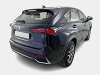 usata Lexus NX300h Hybrid Business 2WD