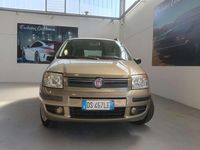 Usata Fiat Panda Dynamic 60 CV (44 kW) 2008 Bronzo Utilitaria