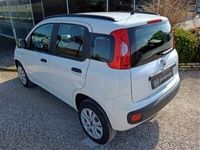 usata Fiat Panda Easy "METANO" Castagnaro