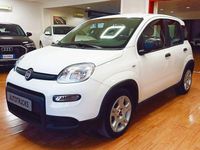 Usata Fiat Panda S 70 CV (51 kW) 2024 Bianco Utilitaria