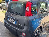 Usata Fiat Panda 70 CV (51 kW) 2021 Grigio Utilitaria
