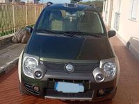 Usata Fiat Panda 4x4 Cross 69 CV (50 kW) 2007 Verde Utilitaria