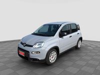 Usata Fiat Panda 69 CV (50 kW) 2022 Grigio moda Utilitaria