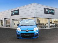 Usata Fiat Panda S 69 CV (50 kW) 2025 Blu metallizzato Berlina