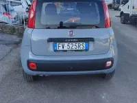 Usata Fiat Panda Lounge 69 CV (50 kW) 2019 Grigio Utilitaria