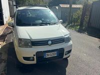 Usata Fiat Panda 4x4 2008 Utilitaria