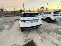Usata Land Rover Range Rover evoque 150 CV (110 kW) 2013 Bianco SUV