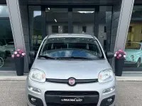 Usata Fiat Panda Easy 69 CV (50 kW) 2017 Argento Utilitaria