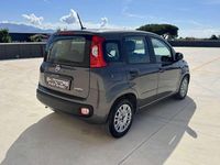Usata Fiat Panda S 69 CV (50 kW) 2022 Grigio Utilitaria