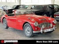 Usata Austin Healey 100/6 102 CV (75 kW) 1957 Rosso Cabrio