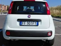 Usata Fiat Panda Lounge 69 CV (50 kW) 2016 Bianco Utilitaria