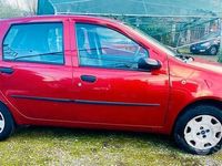 usata Fiat Punto 1.2 5 porte Active Natural Power