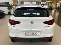 usata Alfa Romeo Stelvio 2.2 Turbodiesel 210 CV AT8 Q4 Executive