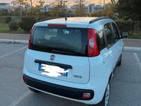 Usata Fiat Panda 85 CV (62 kW) 2013 Bianco Berlina