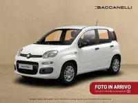 Usata Fiat Panda S 69 CV (50 kW) 2025 Verde Utilitaria