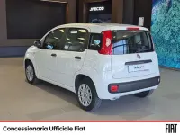 Usata Fiat Panda Easy 69 CV (50 kW) 2017 Bianco Utilitaria