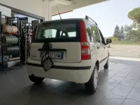 Usata Fiat Panda Dynamic 69 CV (50 kW) 2011 Bianco Utilitaria