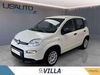 Usata Fiat Panda Icon 70 CV (51 kW) 2024 Bianco Utilitaria