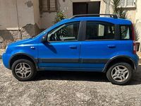 Usata Fiat Panda 4x4 2005 Blu Utilitaria