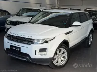 Usata Land Rover Range Rover evoque Prestige 150 CV (110 kW) 2014 Bianco SUV