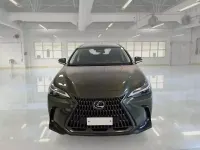 Usata Lexus NX350h 190 CV (139 kW) 2023 Verde SUV