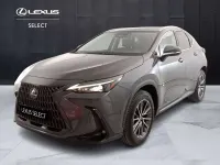 Usata Lexus NX450h+ 185 CV (136 kW) 2023 Grigio SUV