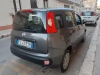 Usata Fiat Panda Easy 69 CV (50 kW) 2018 Grigio Utilitaria