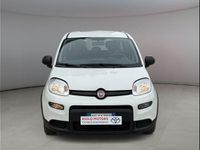 Usata Fiat Panda S 69 CV (50 kW) 2023 Bianco Utilitaria