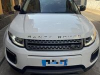 Usata Land Rover Range Rover evoque 150 CV (110 kW) 2017 Bianco SUV