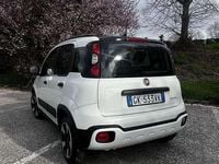 Usata Fiat Panda Cross Cross 69 CV (50 kW) 2022 Utilitaria
