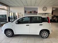 Usata Fiat Panda Easy 69 CV (50 kW) 2017 Bianco Utilitaria