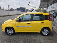 Nuova Fiat Panda Icon 71 CV (52 kW) 2025 Giallo Berlina