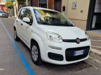 Usata Fiat Panda Easy 69 CV (50 kW) 2020 Utilitaria