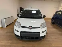 Usata Fiat Panda Sport 69 CV (50 kW) 2022 Other Utilitaria