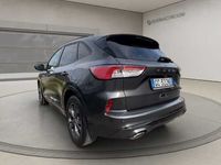 usata Ford Kuga 2.0 EcoBlue Hybrid 150 CV 2WD ST-Line my 20 usato