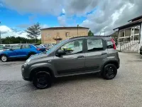 Usata Fiat Panda Cross Cross 85 CV (62 kW) 2022 Grigio Utilitaria
