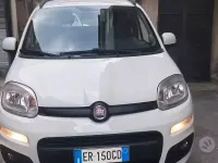 Usata Fiat Panda 85 CV (62 kW) 2014 Bianco Utilitaria