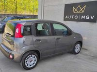 Usata Fiat Panda S 69 CV (50 kW) 2022 Grigio Utilitaria