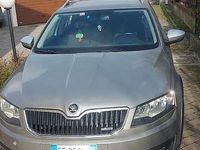 Usata Skoda Octavia Scout 4x4 184 CV (135 kW) 2016 Utilitaria