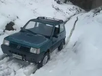 Usata Fiat Panda 4x4 Club 50 CV (36 kW) 1993 Verde Utilitaria