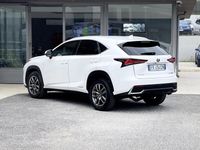 Usata Lexus NX300h 155 CV (114 kW) 2018 Bianco SUV