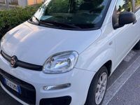 Usata Fiat Panda Lounge 80 CV (58 kW) 2013 Bianco Utilitaria