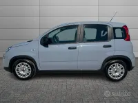 Usata Fiat Panda S 70 CV (51 kW) 2023 Grigio Utilitaria