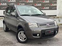 Usata Fiat Panda 4x4 Climbing 75 CV (55 kW) 2011 Grigio Utilitaria