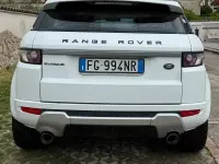 Usata Land Rover Range Rover evoque 150 CV (110 kW) 2013 Bianco SUV