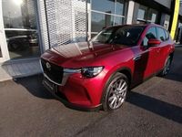 Usata Mazda CX-60 Exclusive-Line 191 CV (140 kW) 2023 Rosso SUV