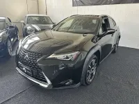Usata Lexus UX 250h Executive Line 145 CV (106 kW) 2020 Nero SUV