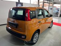Usata Fiat Panda 4x4 S 69 CV (50 kW) 2021 Arancione Utilitaria